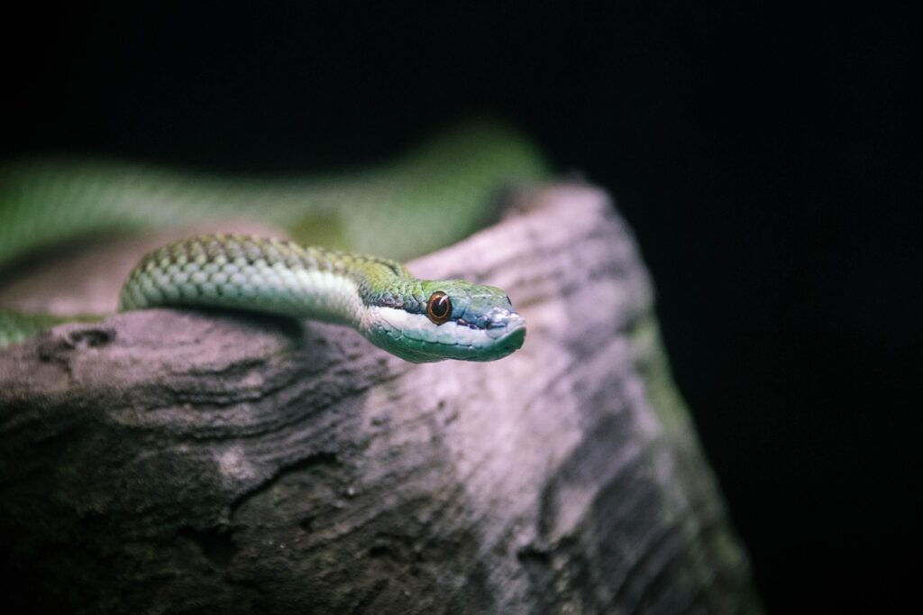 NISAを始めるタイミングはいつがいい？