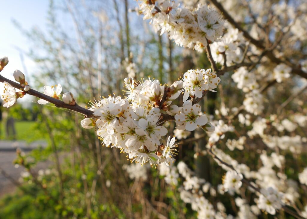 新NISAならではの注意点はどこにあるの？