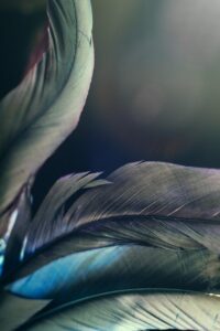 新NISAならではの注意点は何ですか？