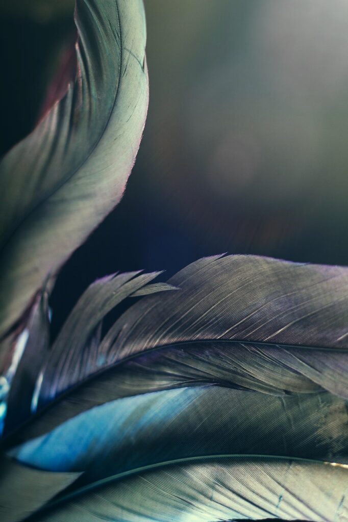 新NISAならではの注意点は何ですか？