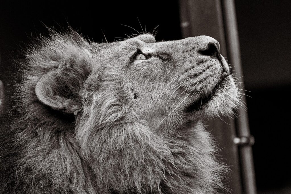 NISA利用者はどんな人が多いのか？