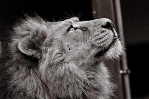 NISA利用者はどんな人が多いのか？