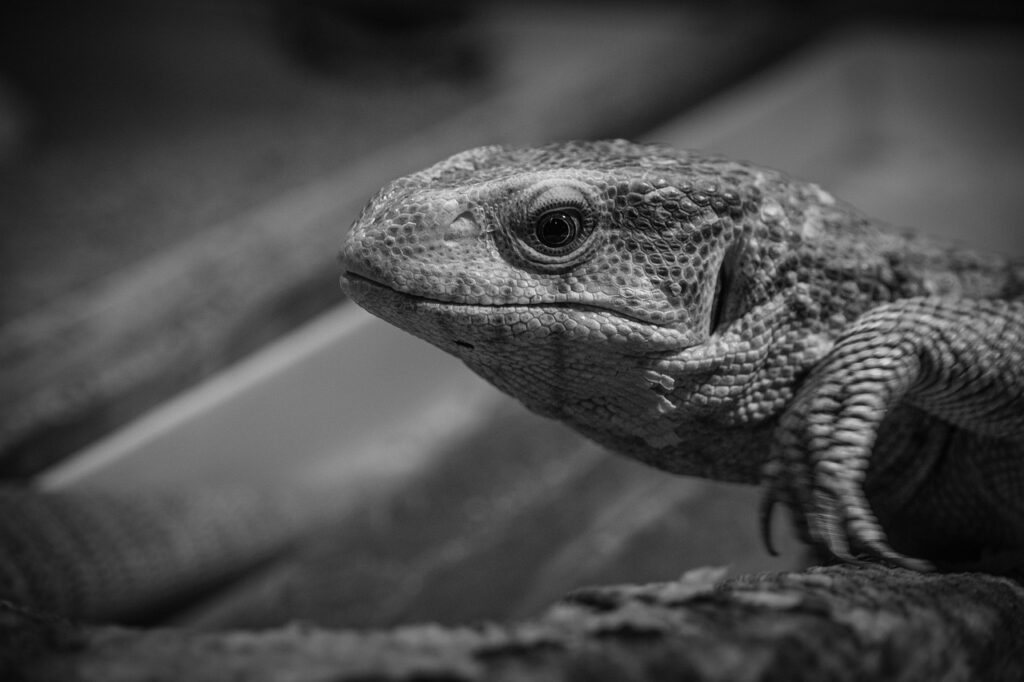 つみたてNISAで損したくない人が知っておくべきポイントは？