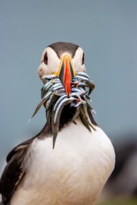 つみたてNISAを利用した資産運用のシミュレーションはあり？