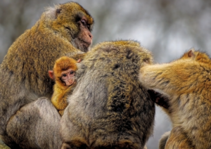 つみたてNISAに適した証券会社の選び方は？