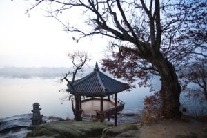 新NISAを活用した退職後の資産運用はどうする？