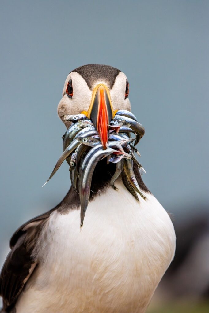 iDeCoのシミュレーションありで将来の資産形成はどうなる？