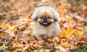 iDeCoを利用すると生活費はどうなる？