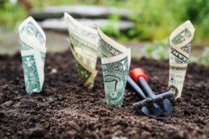 NISAだけで老後資金は足りる？その真相を徹底解説！
